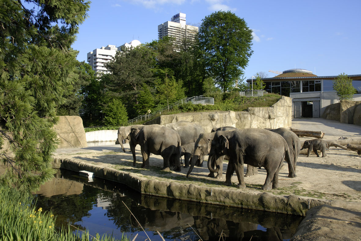 Kölner Zoo